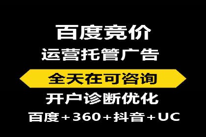 百度竞价赚钱秘诀：实战案例分析